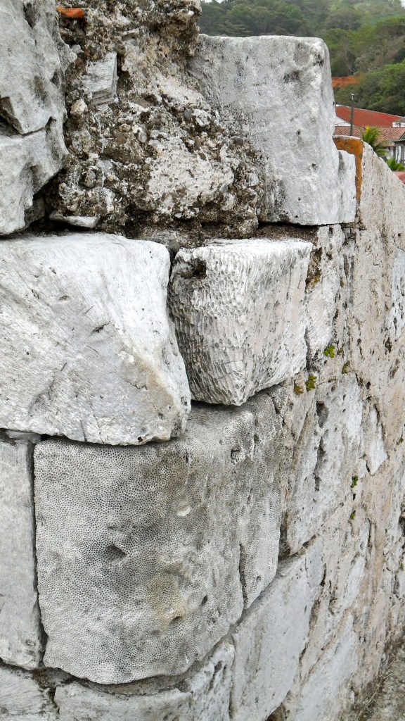 Coral used in building Forts, Portobello, Panama