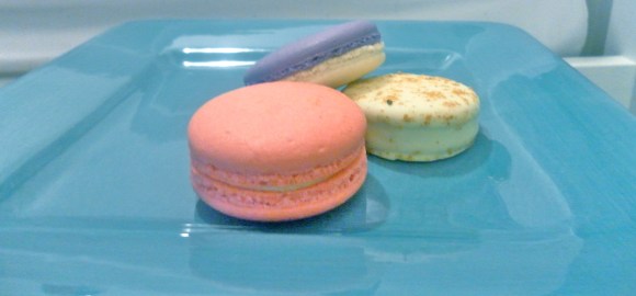 Colourful macarons and a ginger chocolate cookie