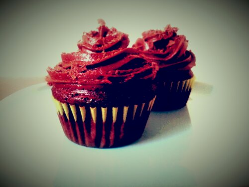 Cupcakes with chocolate cream cheese icing