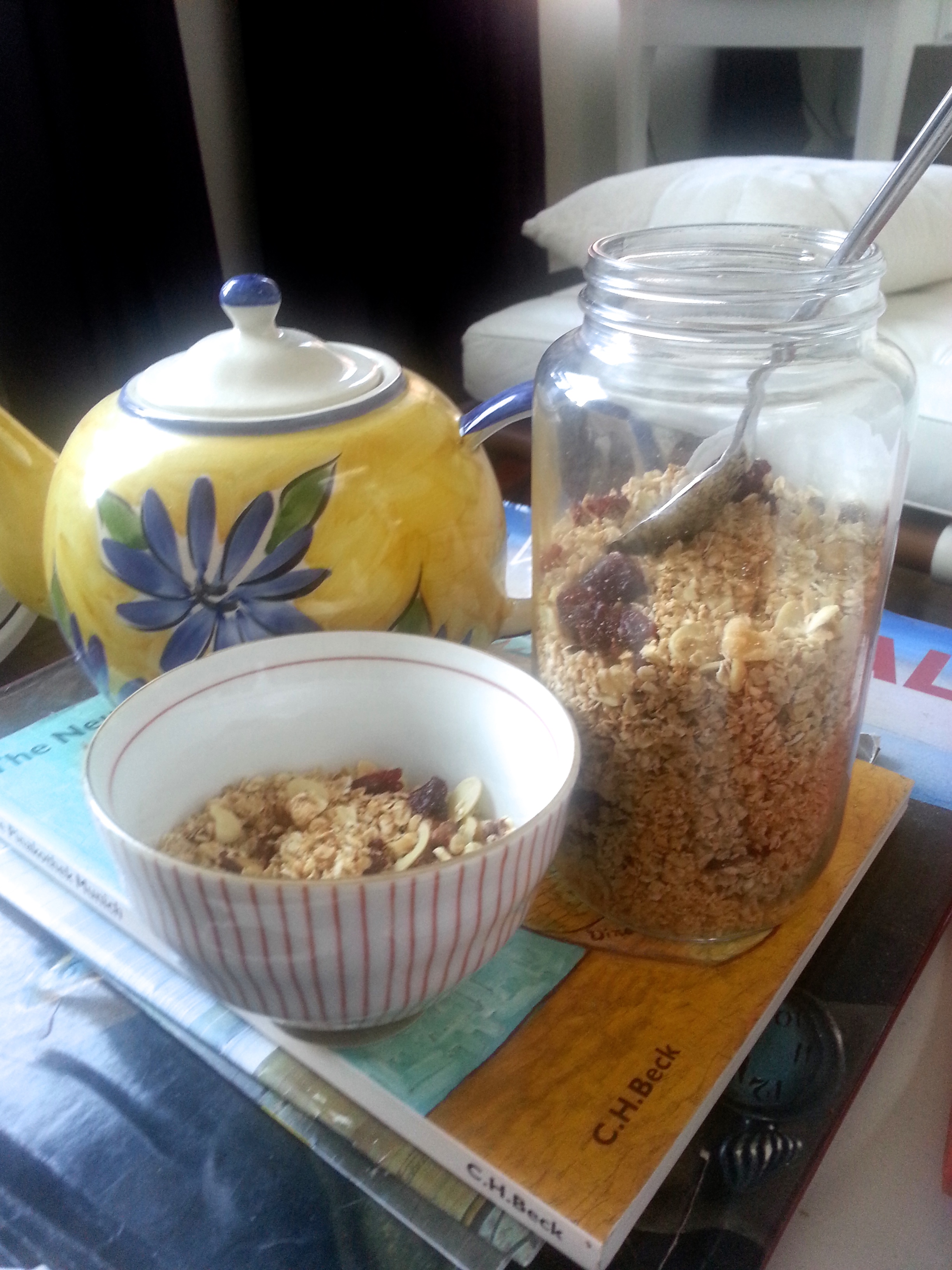 Homemade Coconut Cranberry Granola Recipe