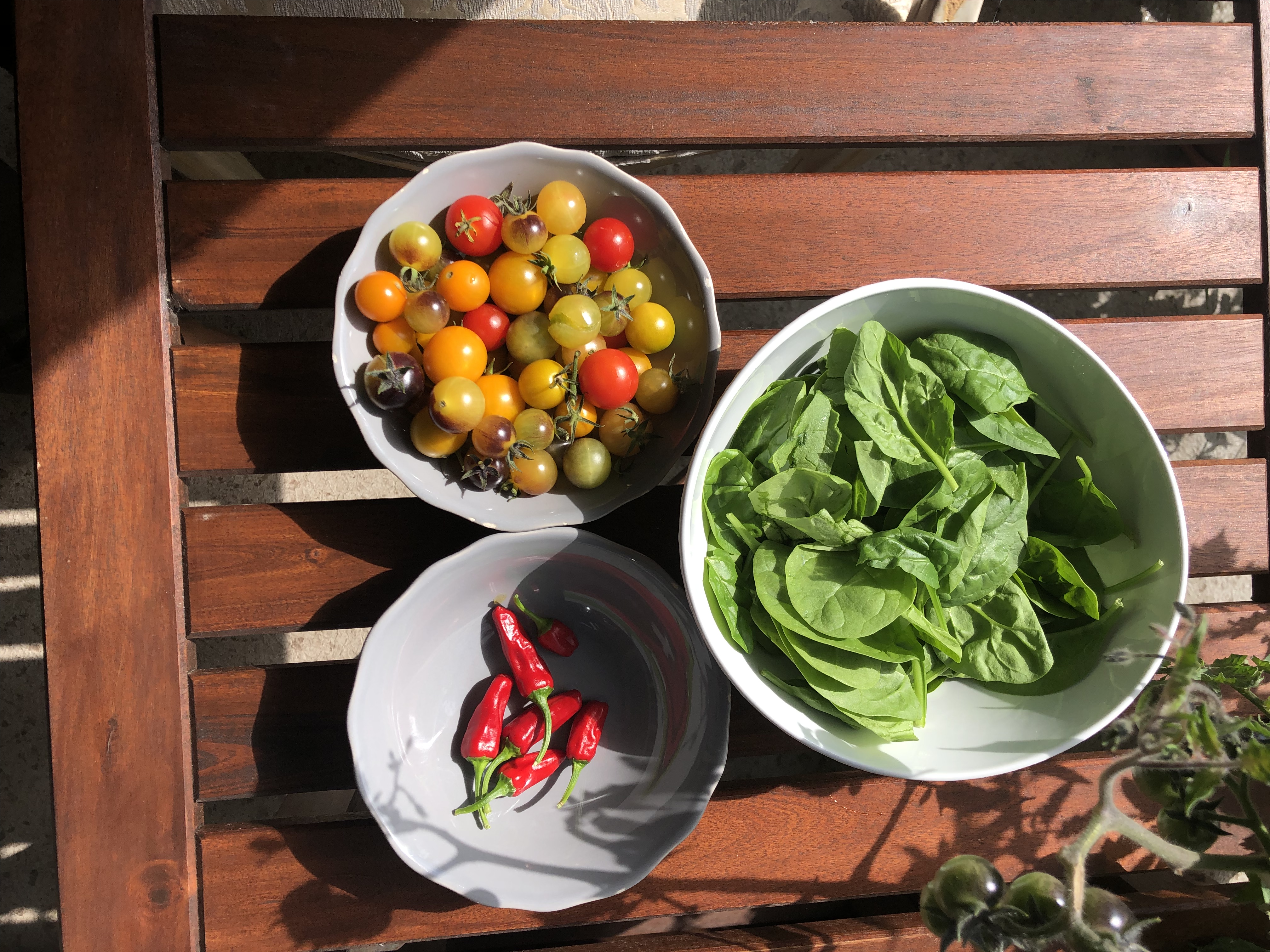 Cooking with food from your garden